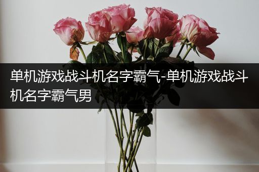 单机游戏战斗机名字霸气-单机游戏战斗机名字霸气男