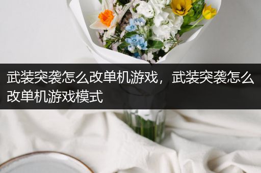 武装突袭怎么改单机游戏，武装突袭怎么改单机游戏模式