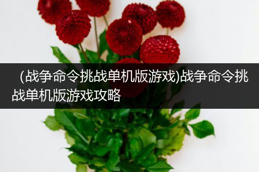 （战争命令挑战单机版游戏)战争命令挑战单机版游戏攻略
