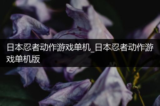 日本忍者动作游戏单机_日本忍者动作游戏单机版