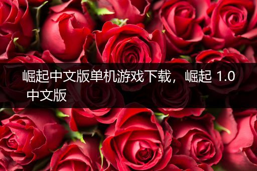 崛起中文版单机游戏下载，崛起 1.0 中文版