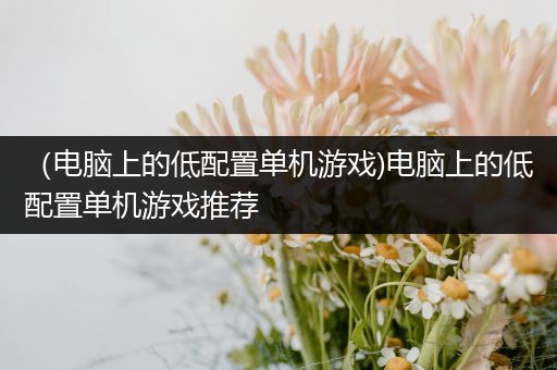 （电脑上的低配置单机游戏)电脑上的低配置单机游戏推荐