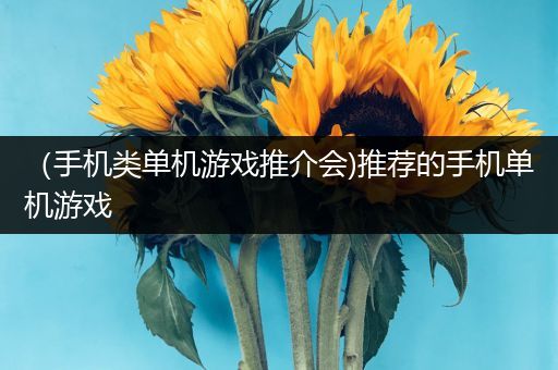 （手机类单机游戏推介会)推荐的手机单机游戏