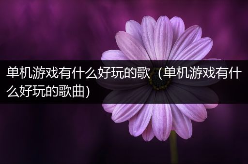 单机游戏有什么好玩的歌（单机游戏有什么好玩的歌曲）