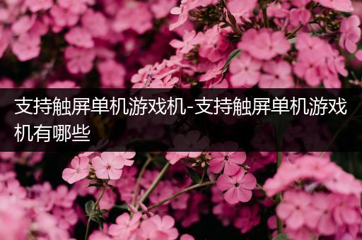 支持触屏单机游戏机-支持触屏单机游戏机有哪些