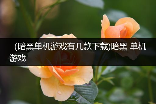 （暗黑单机游戏有几款下载)暗黑 单机游戏