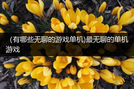（有哪些无聊的游戏单机)最无聊的单机游戏