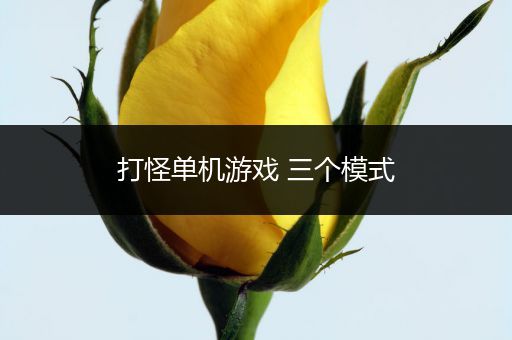打怪单机游戏 三个模式
