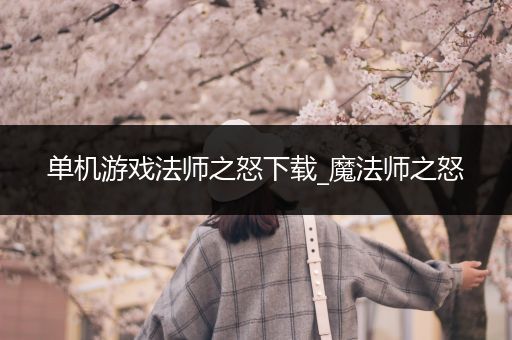 单机游戏法师之怒下载_魔法师之怒