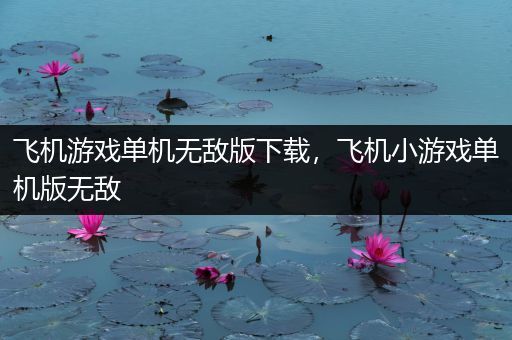 飞机游戏单机无敌版下载，飞机小游戏单机版无敌