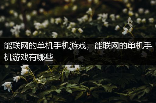 能联网的单机手机游戏，能联网的单机手机游戏有哪些