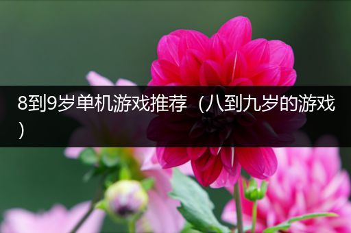8到9岁单机游戏推荐（八到九岁的游戏）