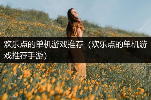 欢乐点的单机游戏推荐（欢乐点的单机游戏推荐手游）