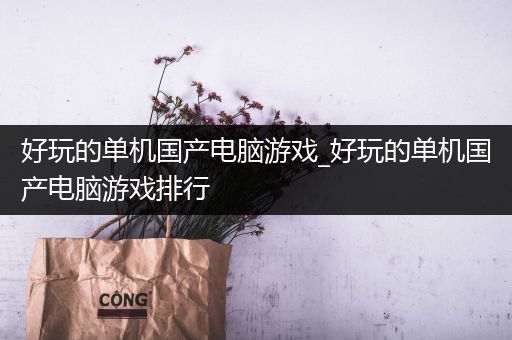好玩的单机国产电脑游戏_好玩的单机国产电脑游戏排行