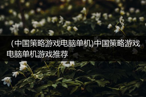 （中国策略游戏电脑单机)中国策略游戏电脑单机游戏推荐