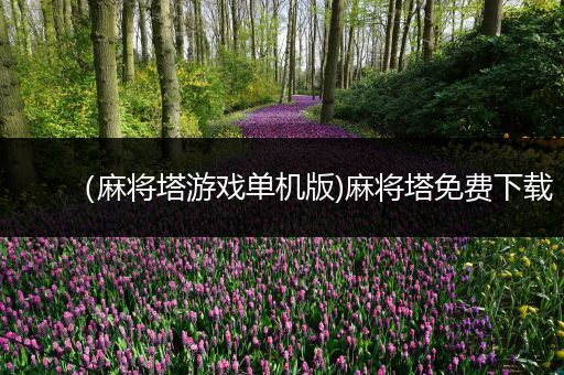 （麻将塔游戏单机版)麻将塔免费下载