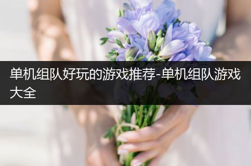 单机组队好玩的游戏推荐-单机组队游戏大全