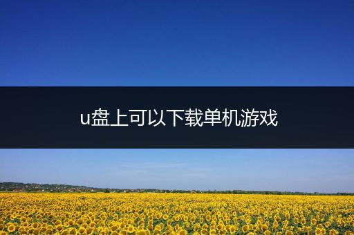 u盘上可以下载单机游戏