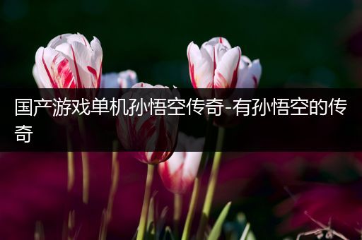 国产游戏单机孙悟空传奇-有孙悟空的传奇