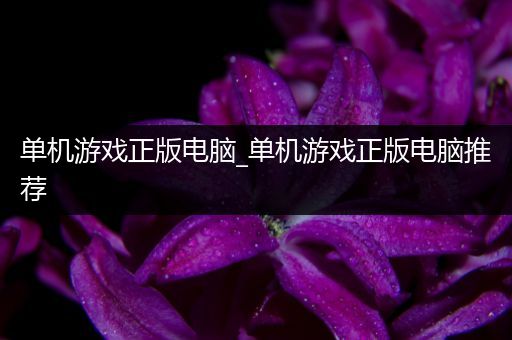 单机游戏正版电脑_单机游戏正版电脑推荐