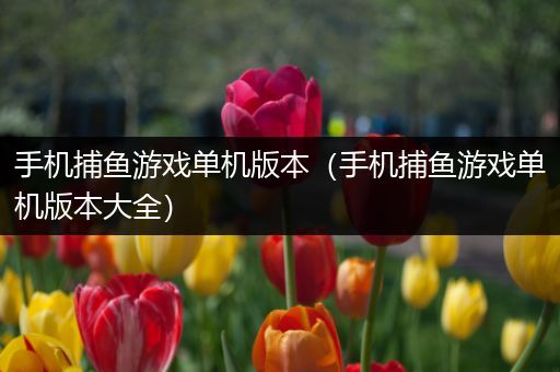 手机捕鱼游戏单机版本（手机捕鱼游戏单机版本大全）