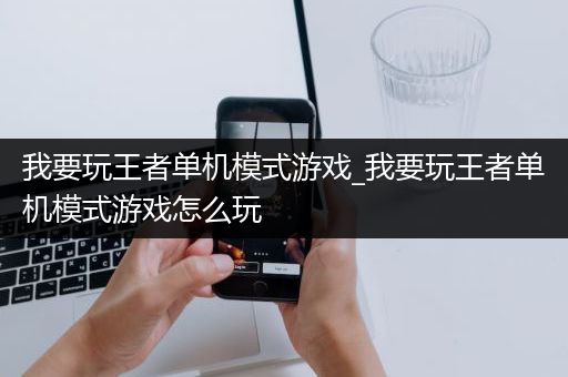 我要玩王者单机模式游戏_我要玩王者单机模式游戏怎么玩