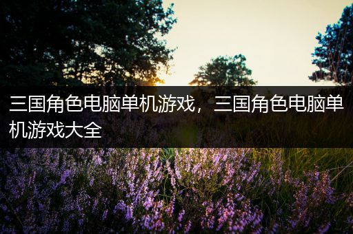 三国角色电脑单机游戏，三国角色电脑单机游戏大全