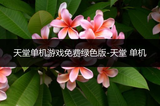 天堂单机游戏免费绿色版-天堂 单机