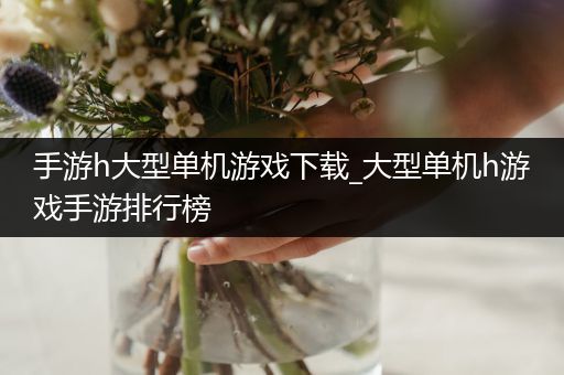 手游h大型单机游戏下载_大型单机h游戏手游排行榜