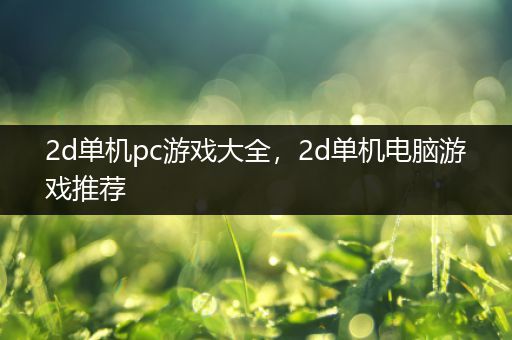2d单机pc游戏大全，2d单机电脑游戏推荐