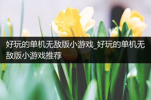 好玩的单机无敌版小游戏_好玩的单机无敌版小游戏推荐