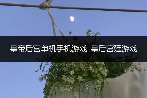 皇帝后宫单机手机游戏_皇后宫廷游戏