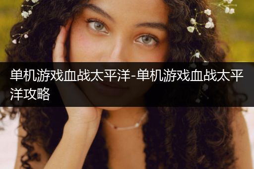 单机游戏血战太平洋-单机游戏血战太平洋攻略