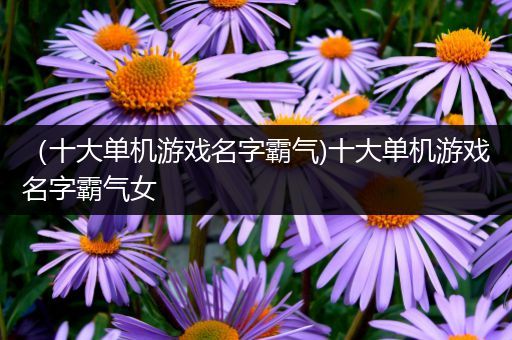 （十大单机游戏名字霸气)十大单机游戏名字霸气女