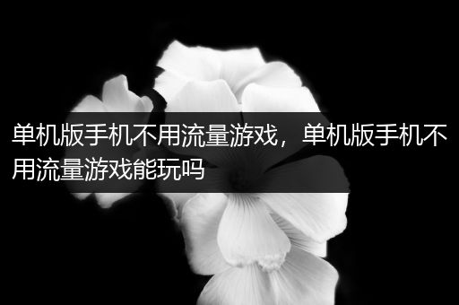 单机版手机不用流量游戏，单机版手机不用流量游戏能玩吗