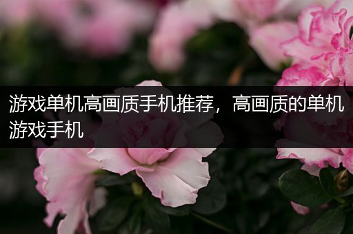 游戏单机高画质手机推荐，高画质的单机游戏手机