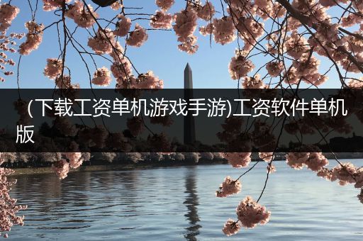 （下载工资单机游戏手游)工资软件单机版