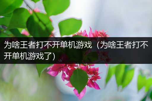 为啥王者打不开单机游戏（为啥王者打不开单机游戏了）