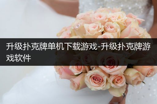 升级扑克牌单机下载游戏-升级扑克牌游戏软件