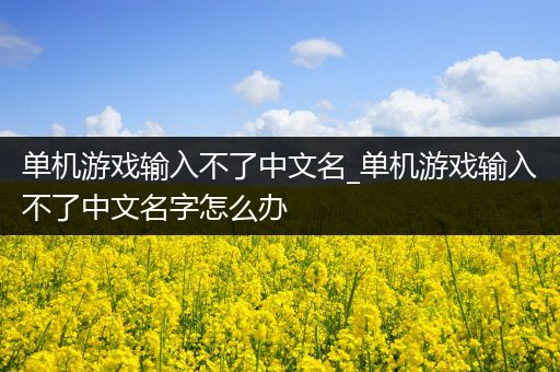 单机游戏输入不了中文名_单机游戏输入不了中文名字怎么办