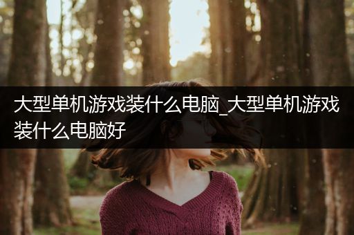 大型单机游戏装什么电脑_大型单机游戏装什么电脑好