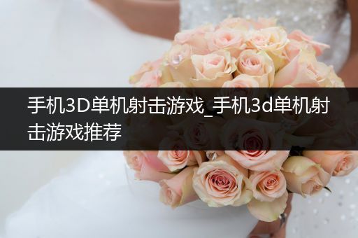 手机3D单机射击游戏_手机3d单机射击游戏推荐