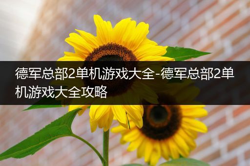 德军总部2单机游戏大全-德军总部2单机游戏大全攻略