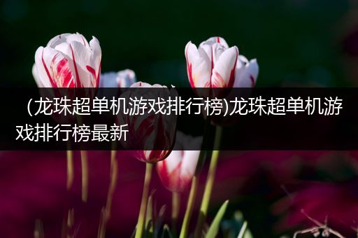 （龙珠超单机游戏排行榜)龙珠超单机游戏排行榜最新