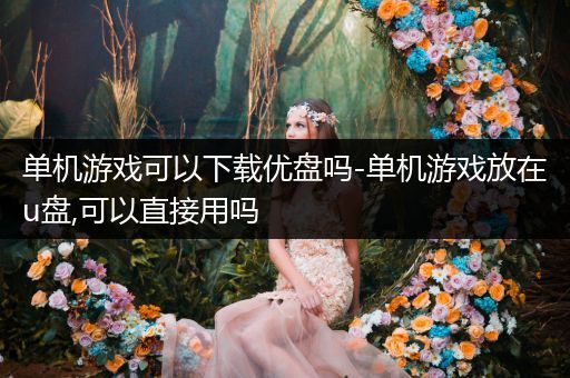 单机游戏可以下载优盘吗-单机游戏放在u盘,可以直接用吗