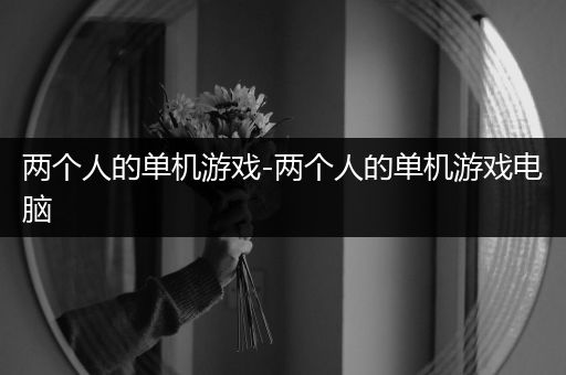两个人的单机游戏-两个人的单机游戏电脑