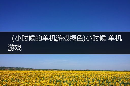 （小时候的单机游戏绿色)小时候 单机游戏