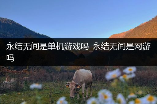 永结无间是单机游戏吗_永结无间是网游吗