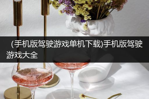 （手机版驾驶游戏单机下载)手机版驾驶游戏大全