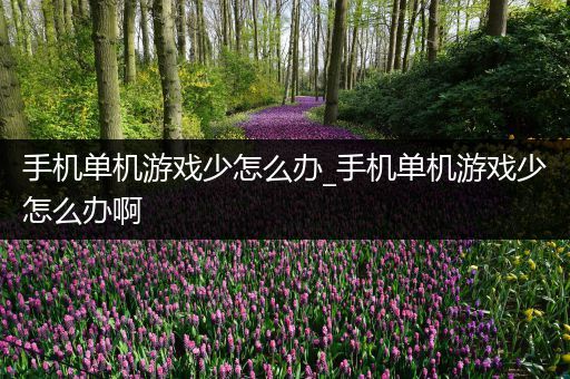 手机单机游戏少怎么办_手机单机游戏少怎么办啊